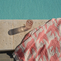 Summer Towel Andorinha