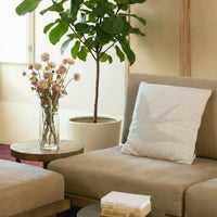 Cushion Cover Andorinha Grande