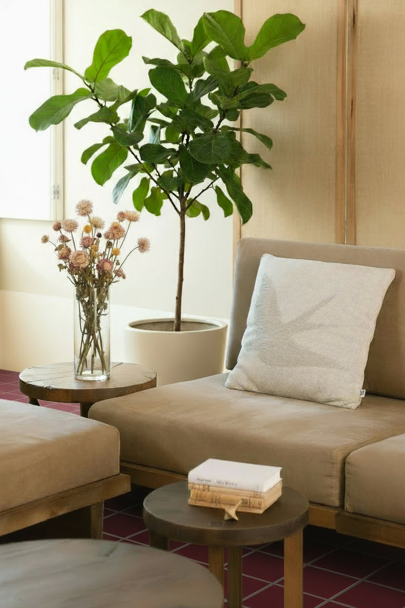 Cushion Cover Andorinha Grande